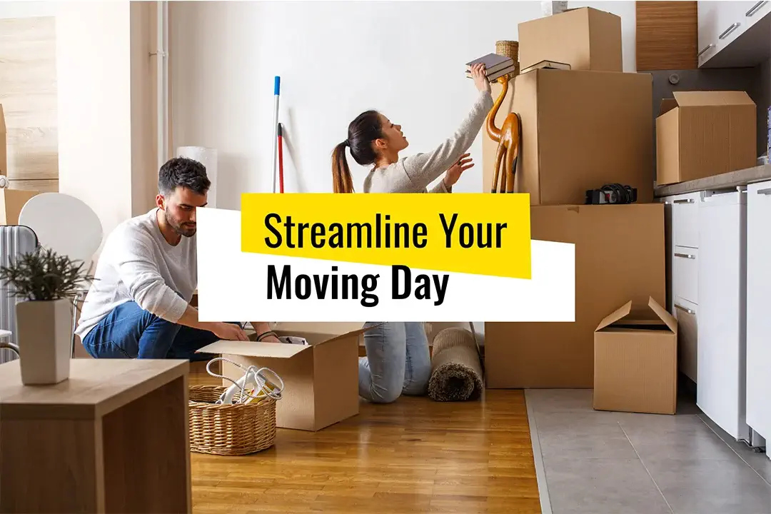 a couple is choosing the things on a moving day