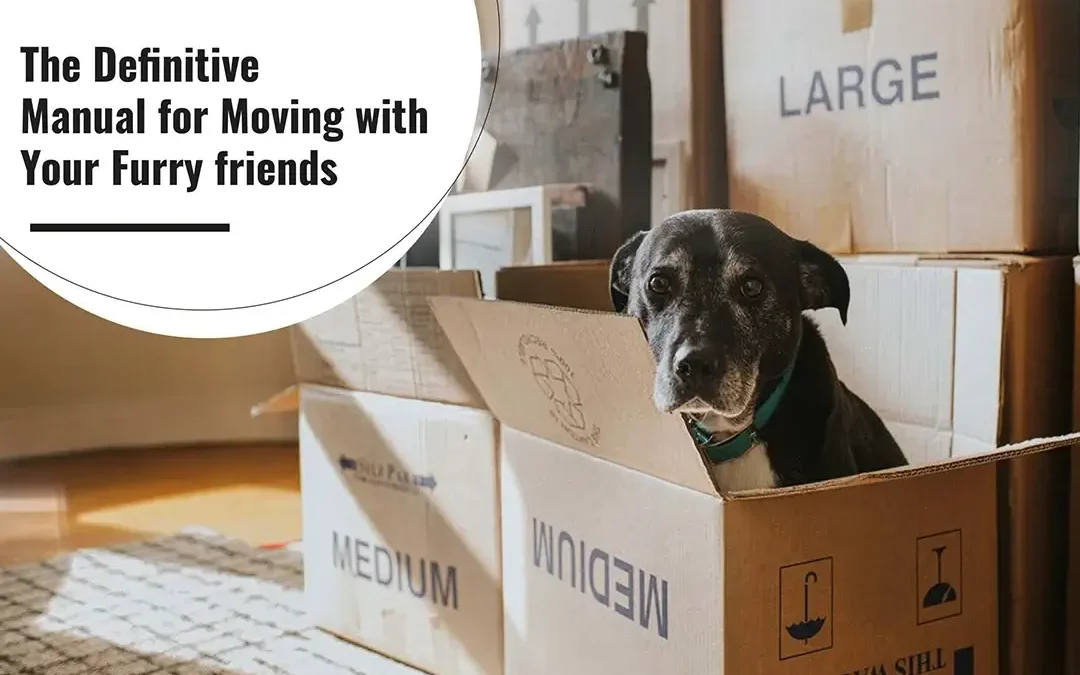 The Definitive Manual for Moving with Your Furry Friends