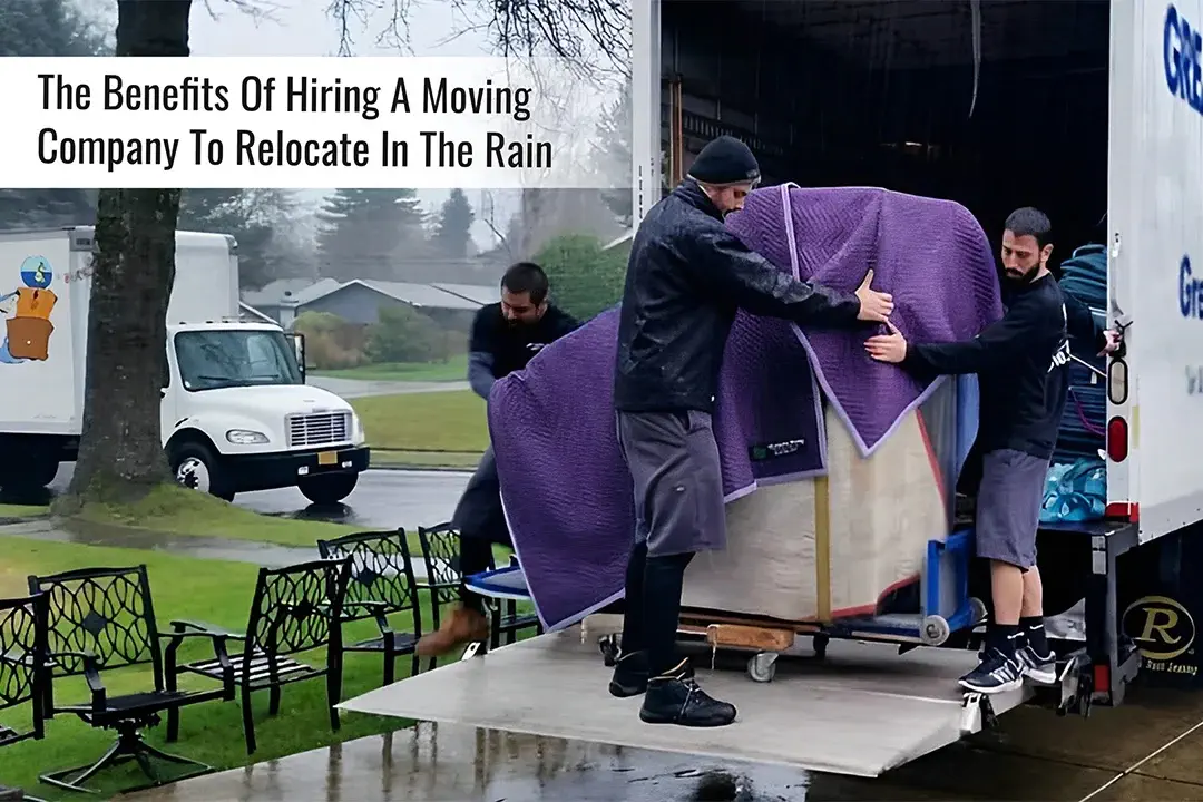 three employees of ready to move llc are moving completely covered piano in the truck in the rain